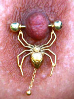 Decorative piercing for nipples