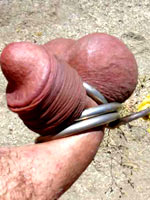 Close up to cock torture